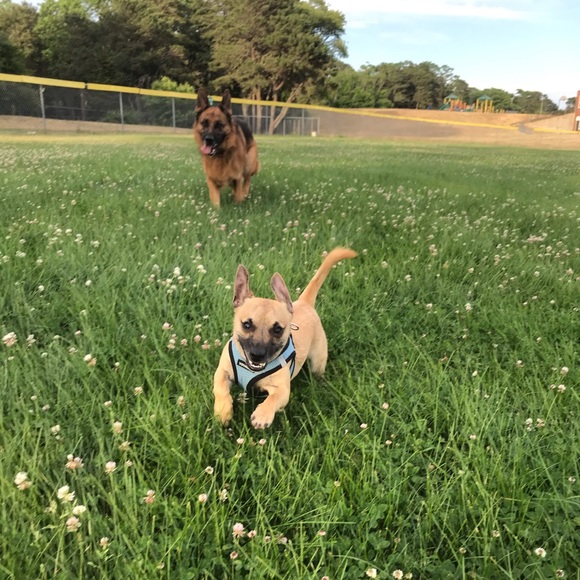 Meet your Posher, Allison - Picture 3 of 8